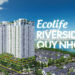 Ecolife Riverside Quy Nhơn